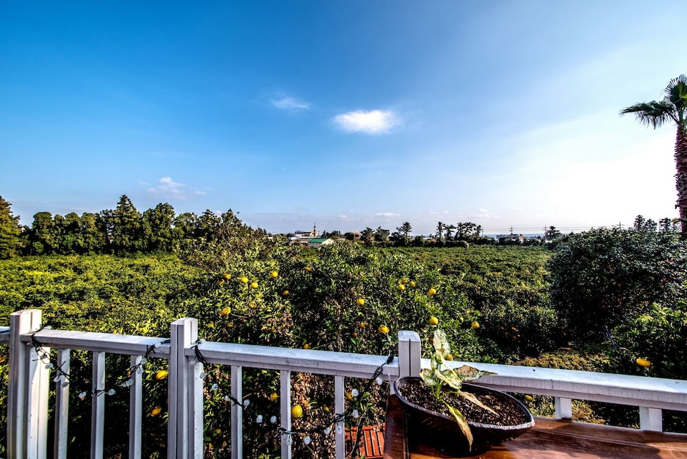 The May of Jeju House Pension