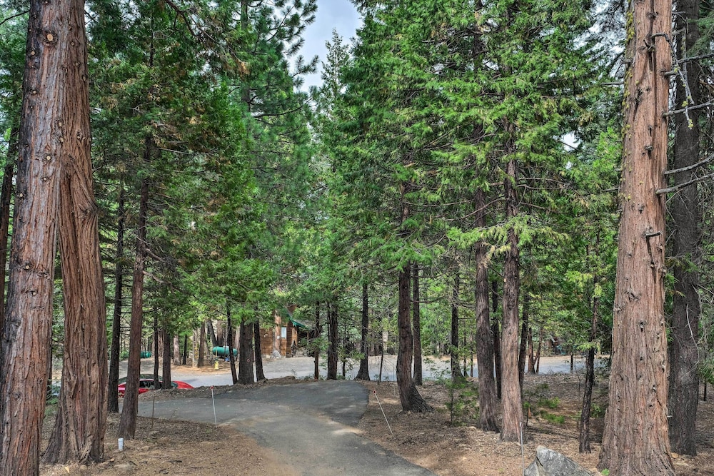 Game Room & Deck: Pet-friendly Camp Connell Cabin