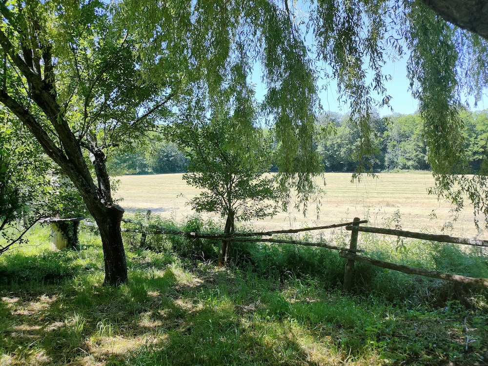 Photo 14