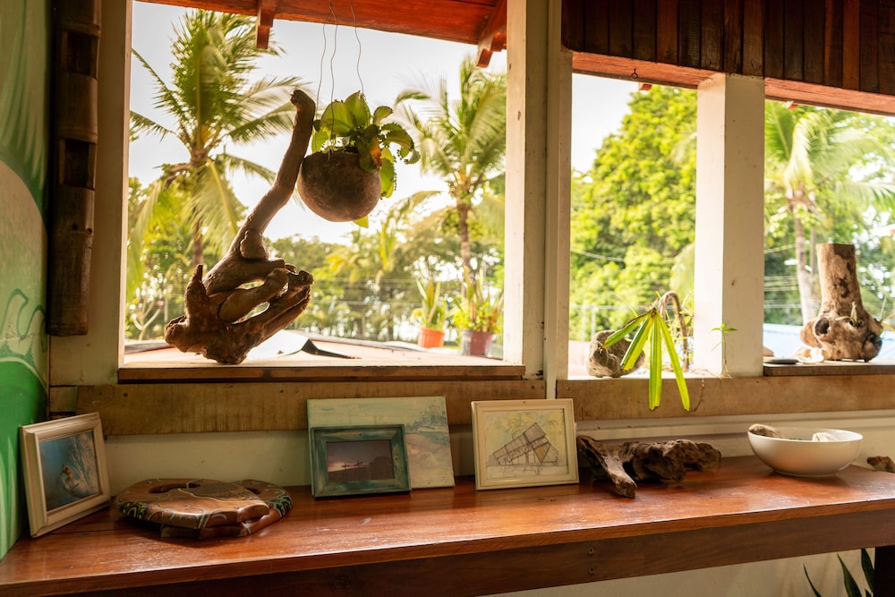 surfhouse pavones
