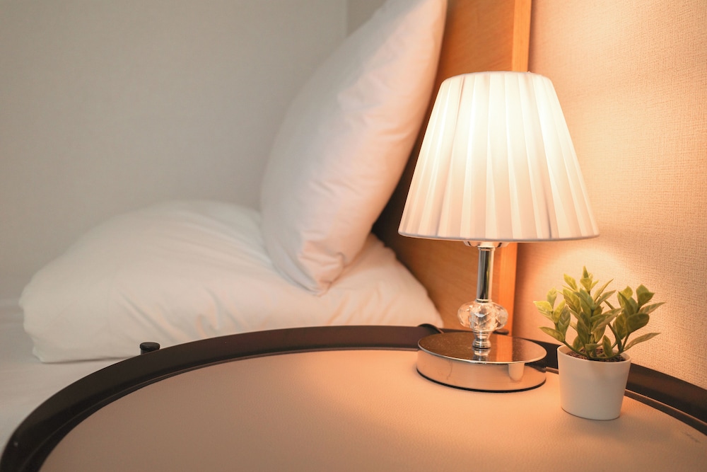 Starria Hostel foreign guest only 45