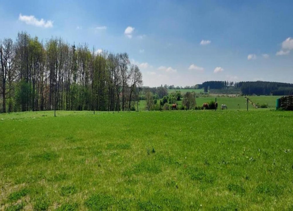 Bungalow in Virton Near Vallee de Rabais Lake, photo 18