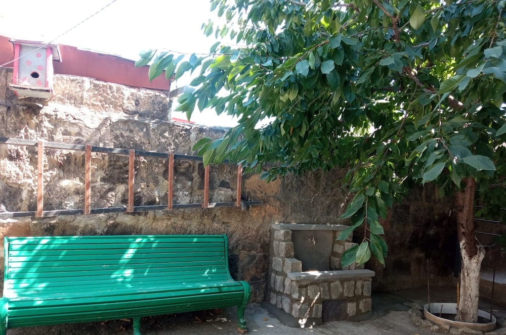 Ankyun