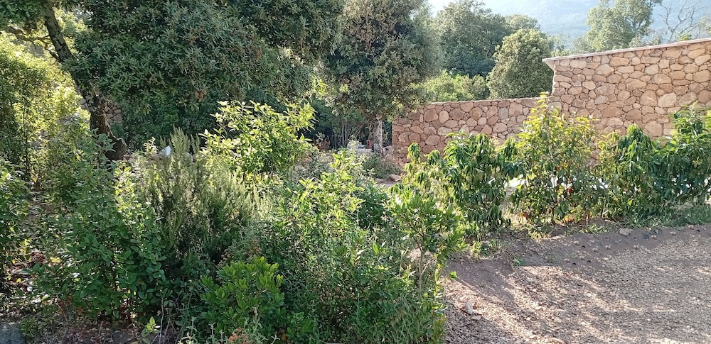 CASA DI RAMATTA CHEZ L'APICULTRICE