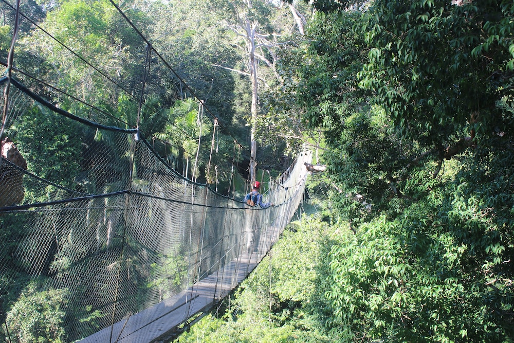 Monte Amazonico Lodge