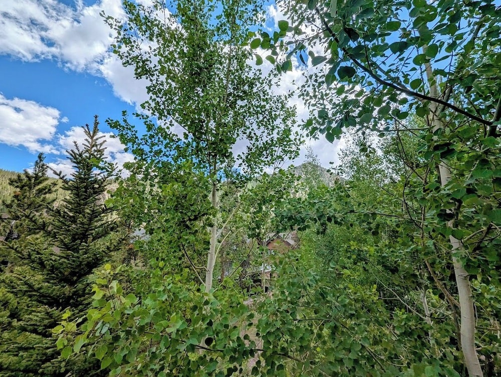 Settlers Creek 6521