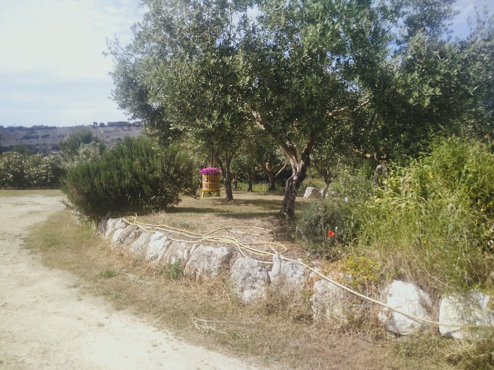 Photo 31