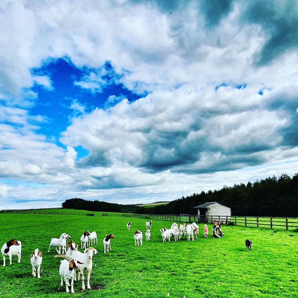 High Paradise Farm