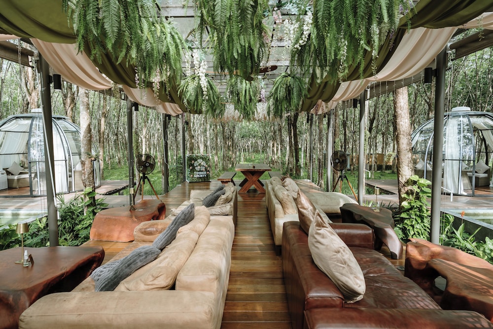 Timber Society Boutique Hideaway