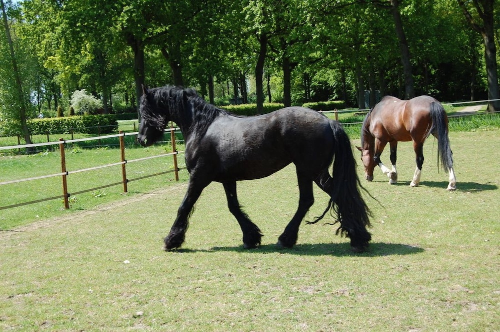 B&B Kasteelhoeve-Dussen
