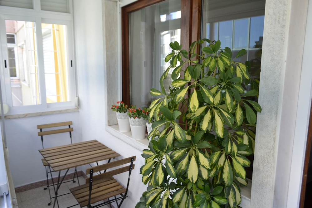 Casa Amarela Belém