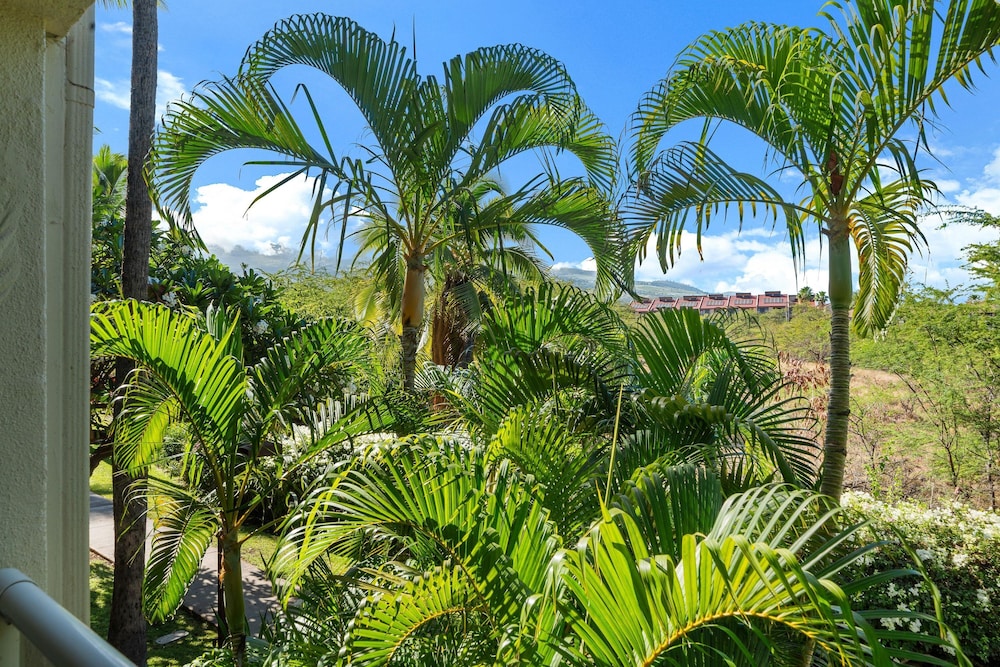 Maui Banyan H207 in Kihei