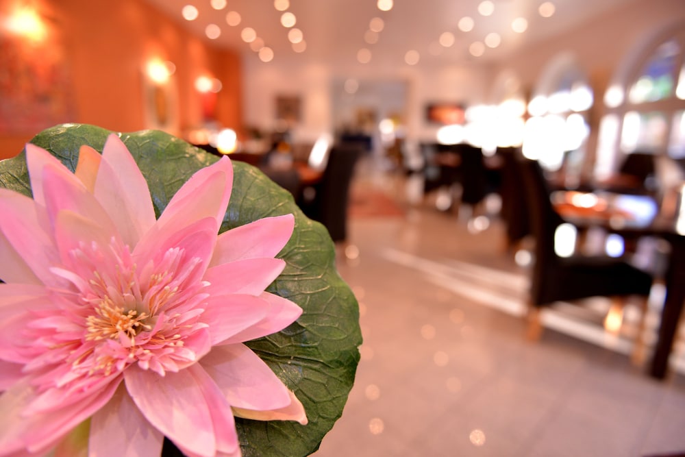 Alpha Hotel Garni - Property Image 16