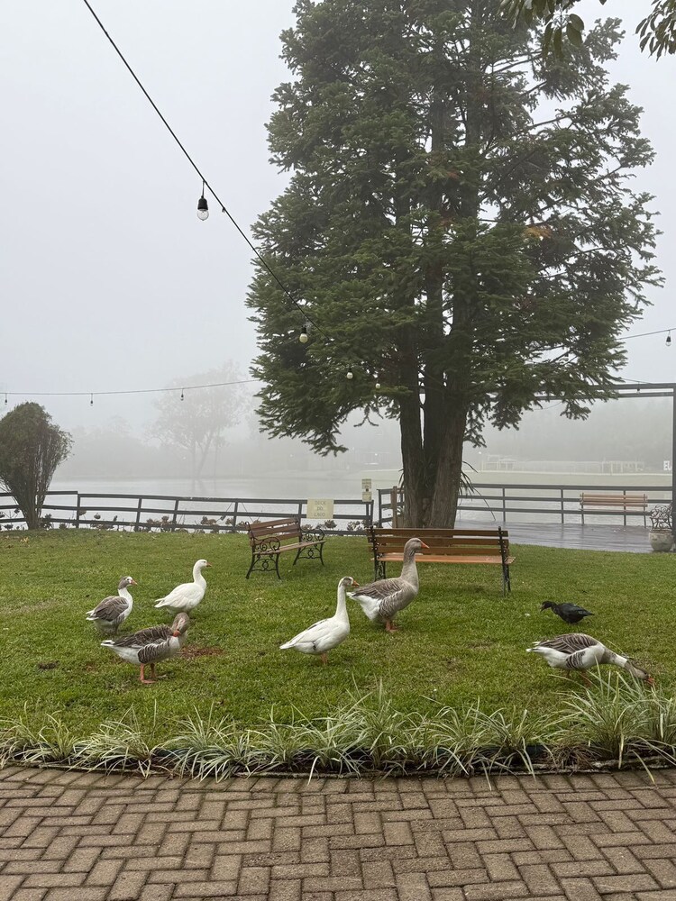 Vila Gramado