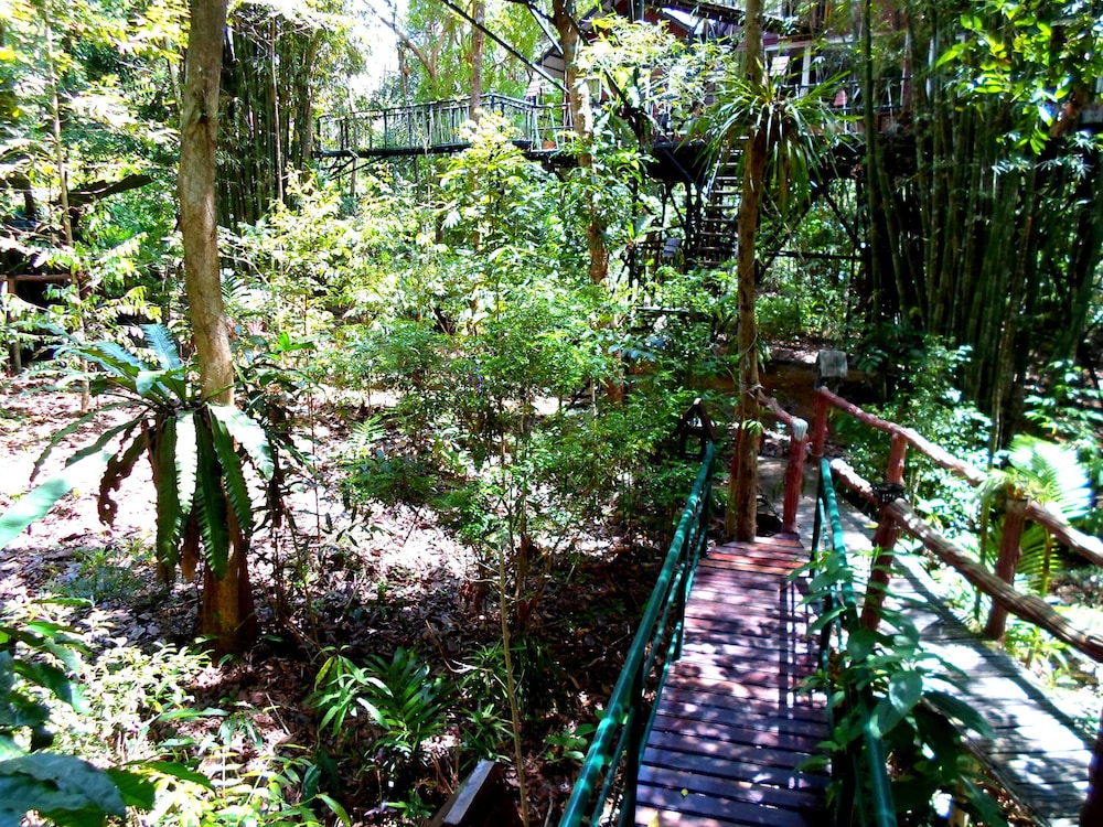 Khao Sok Tree House