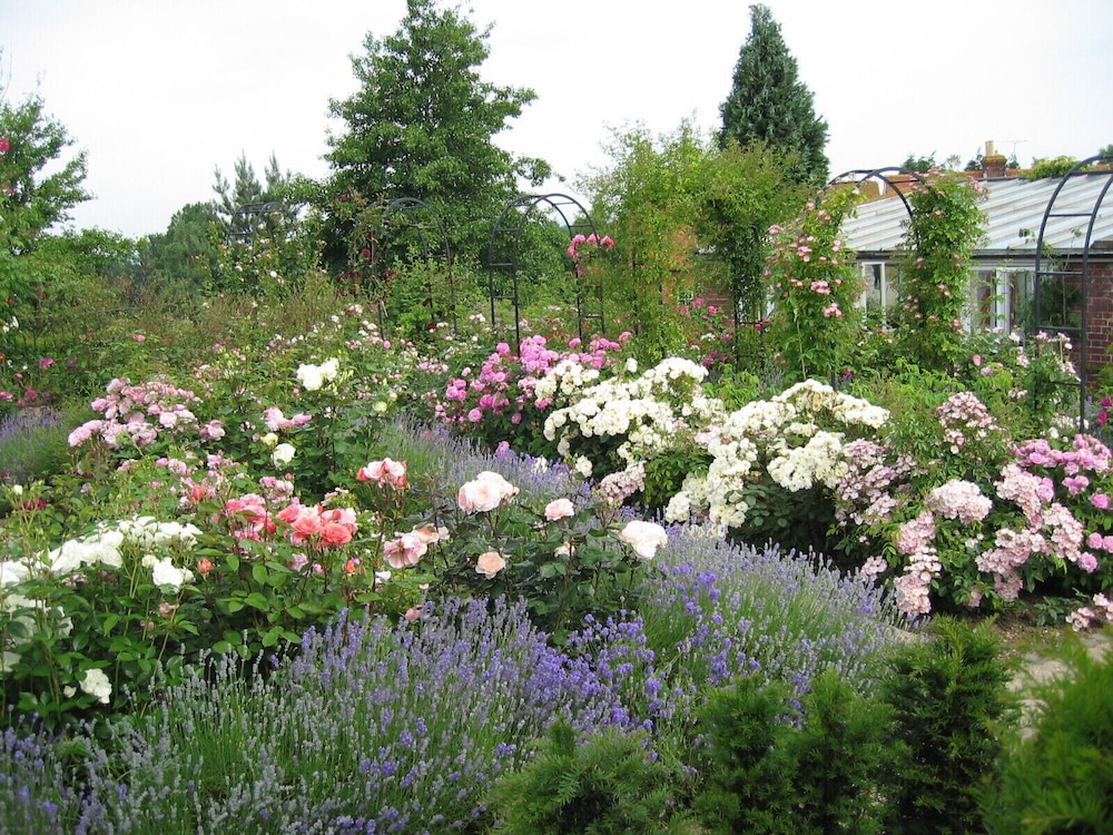 Mount Ephraim