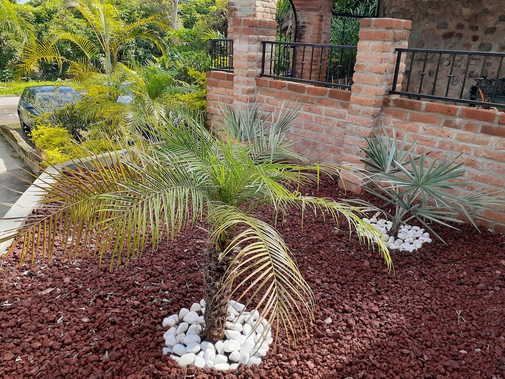 La Villa Palmier Your quiet House view 4