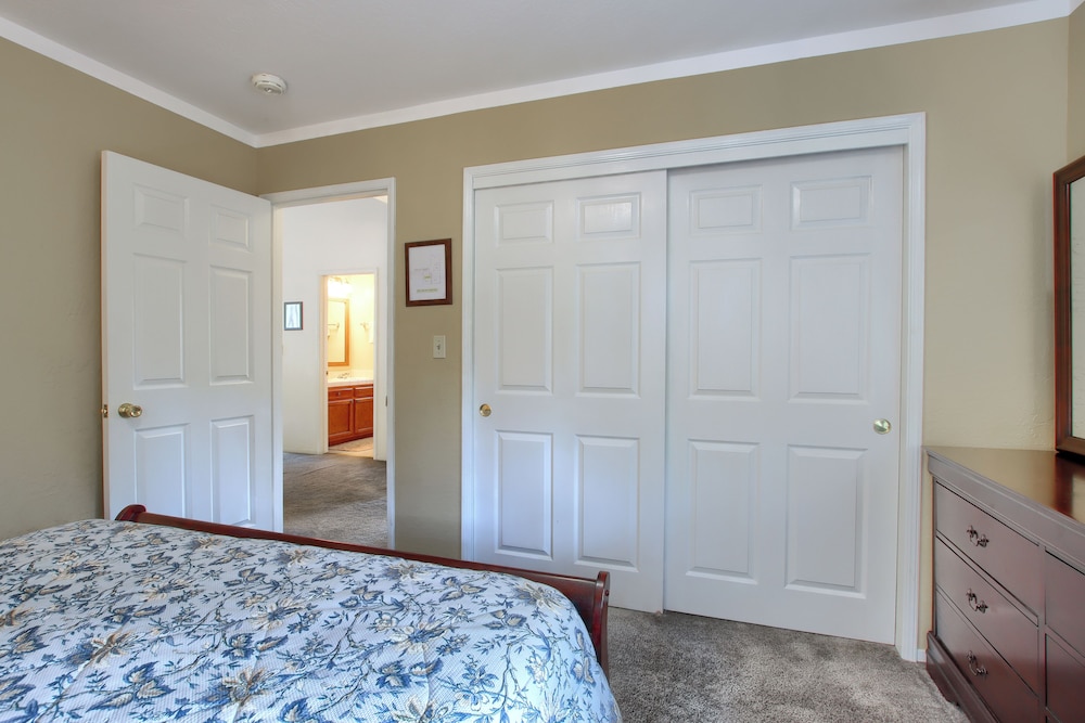 Cabin Among the Firs