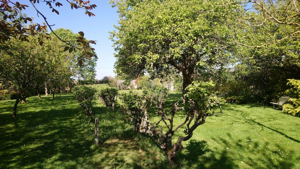 Photo 25