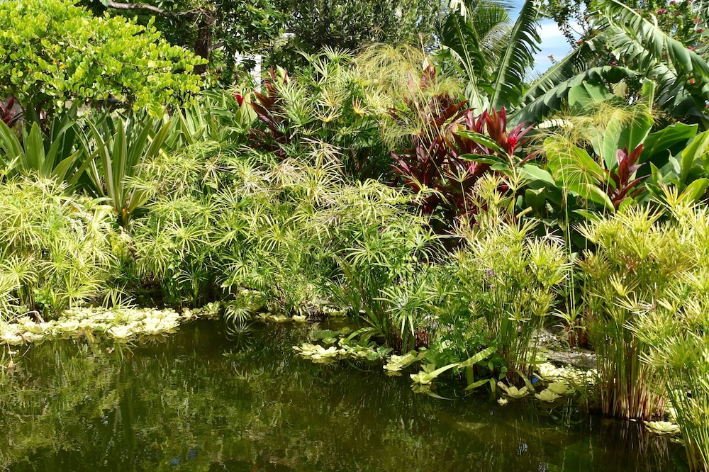 PARADIS TROPICAL appart'hotel