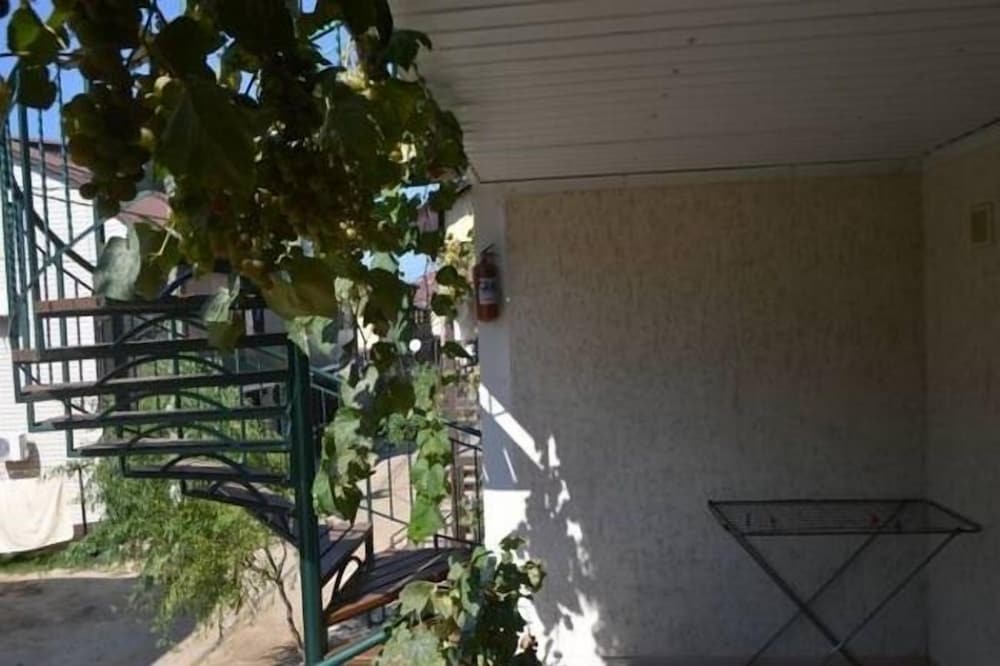 Photo 42
