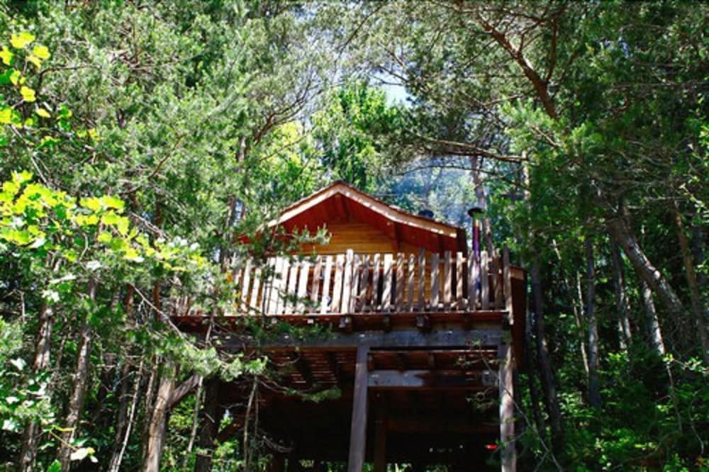 Photo 47