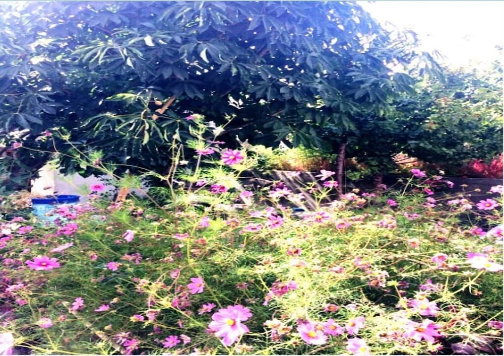 TIH A O Guest House & Home stay