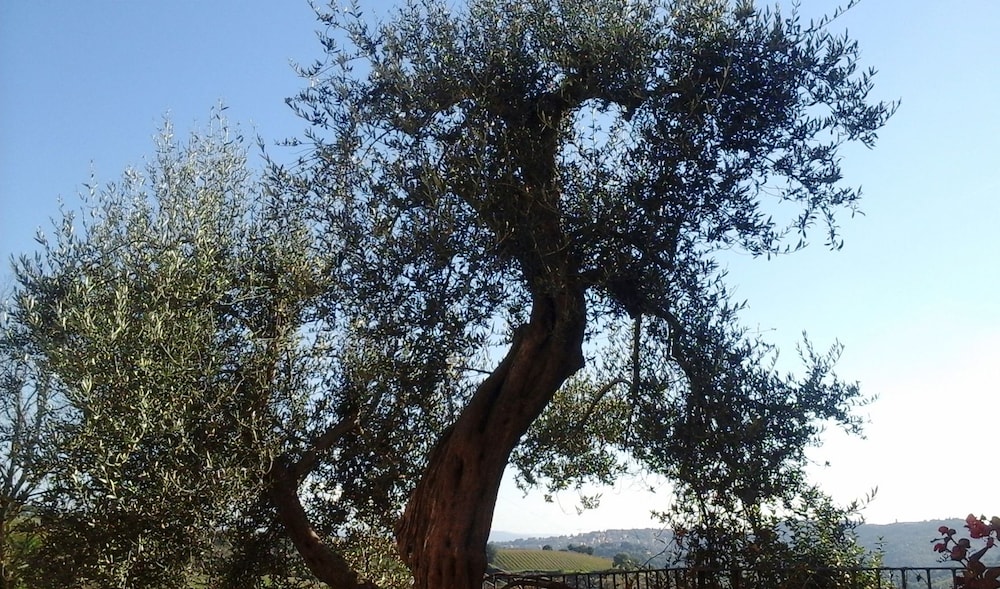 Cor Di Bezzolo, Φωτογραφία 34