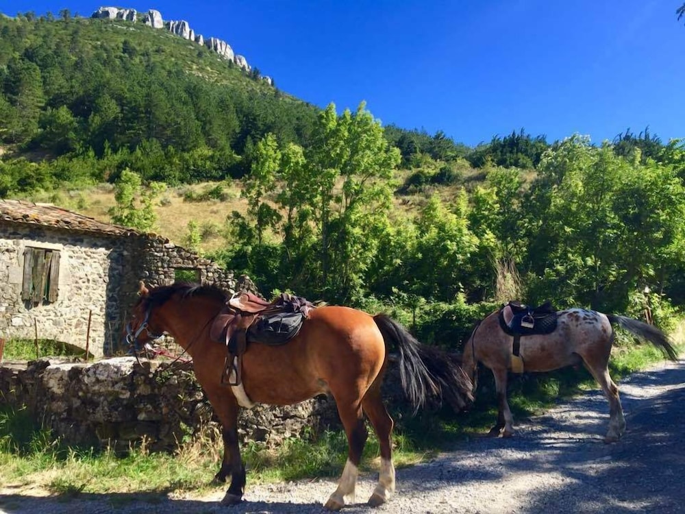 Moulin A