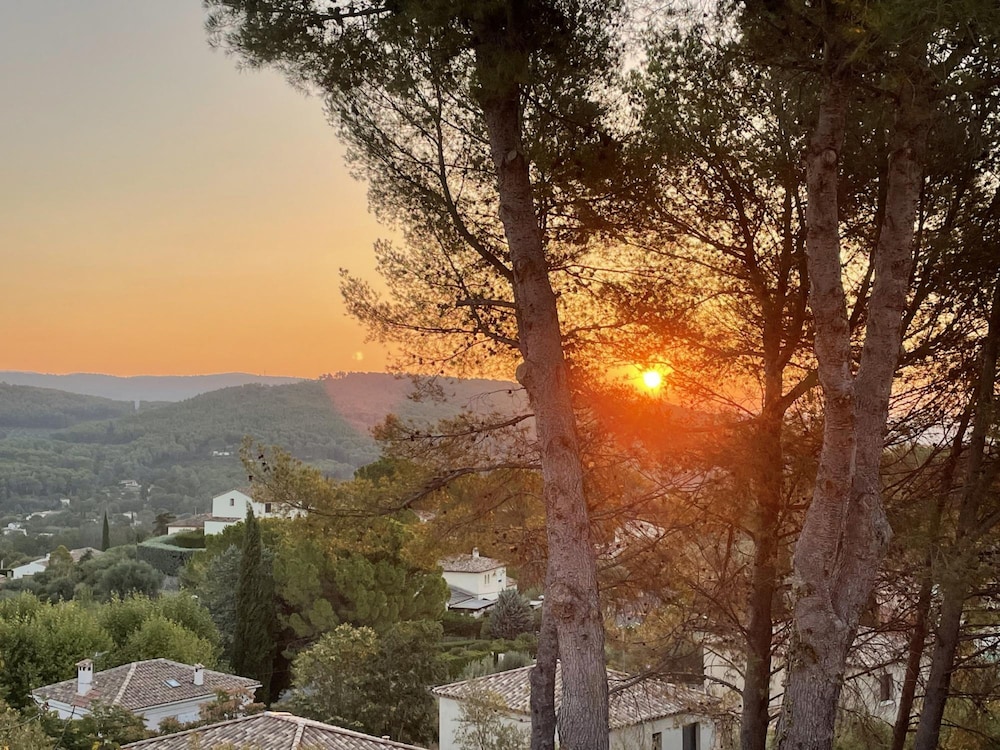 Vendange Tardive in Flayosc