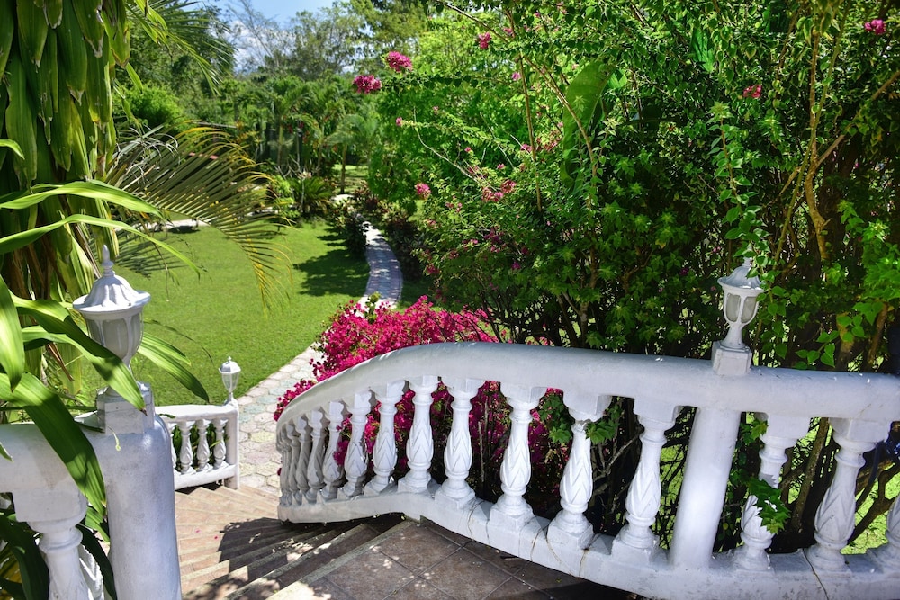 Banana Bank Lodge