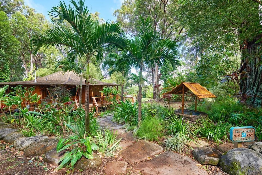 Hawaiian Dream Temple