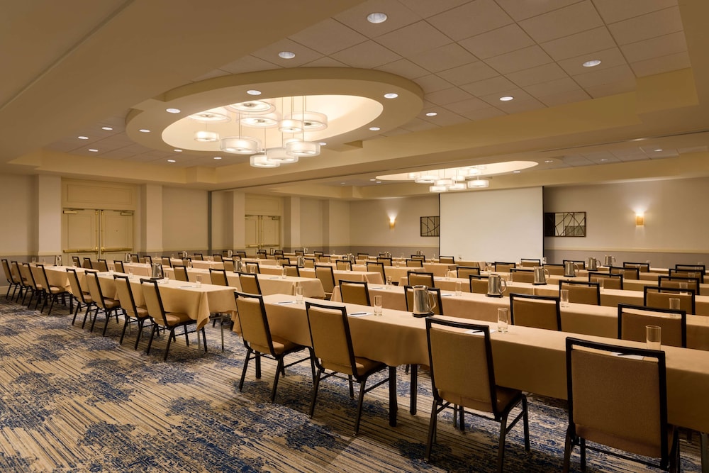 Boston Vacations - Embassy Suites by Hilton Boston Waltham - Property Image 42