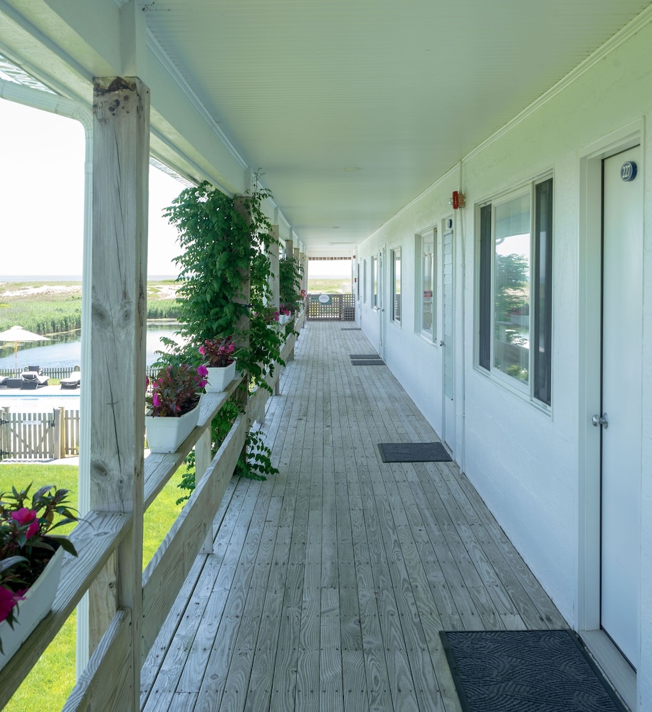 Ocean Dunes at Amagansett