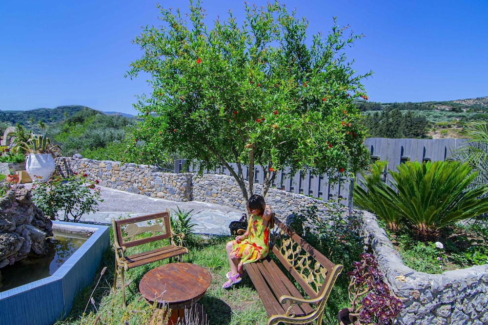 Villa Olive Tree