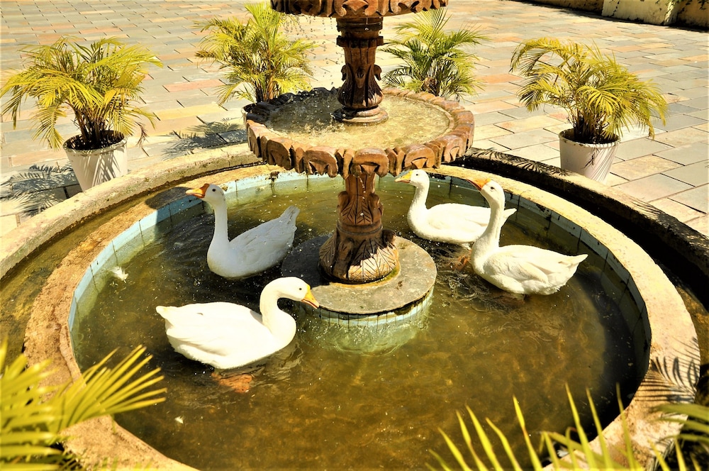 Alcor Kumbhalgarh – the family getaway