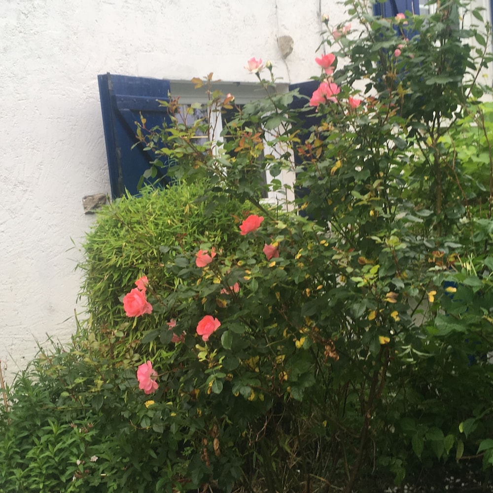 Photo 38