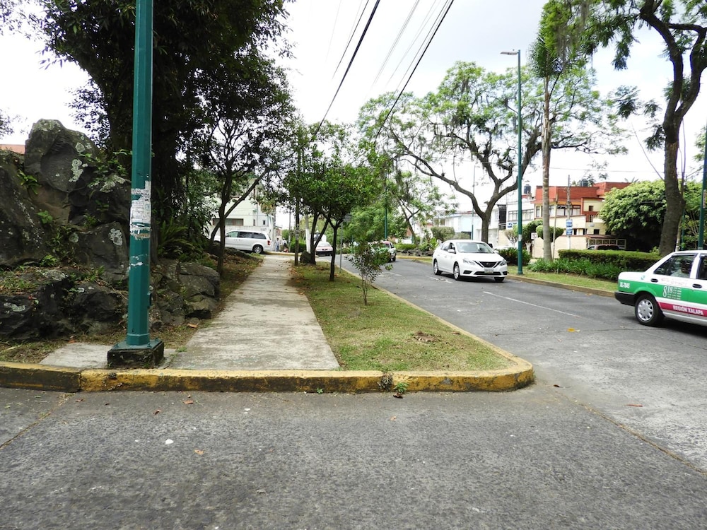 Photo 15