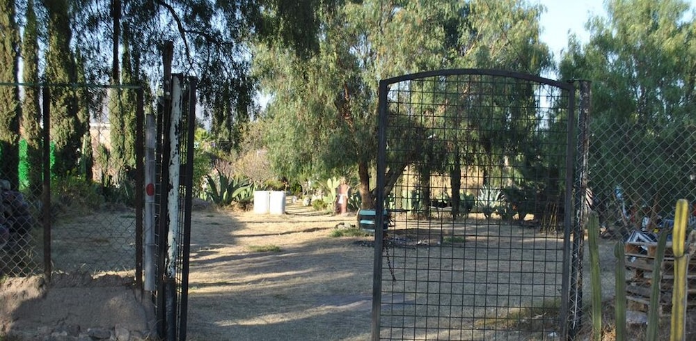 Photo 25