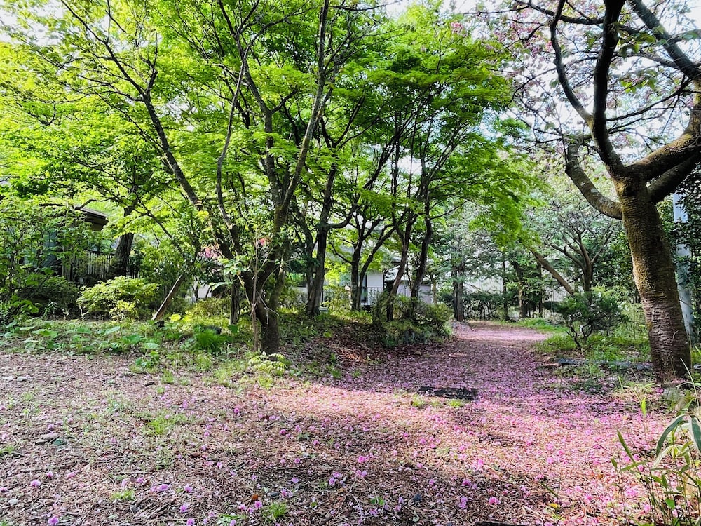 Kaederesort Kinugawaonsen