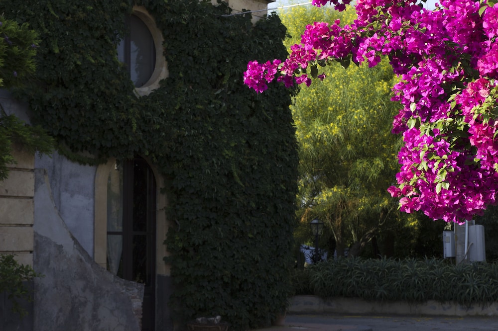 Tenuta del Gelso