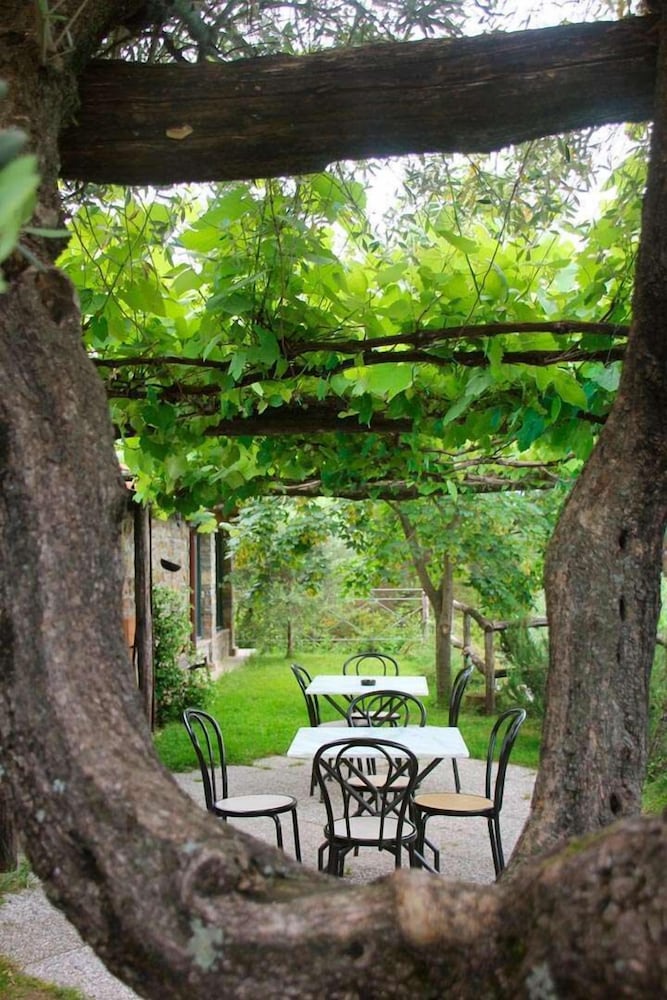 Fattoria Giunasco