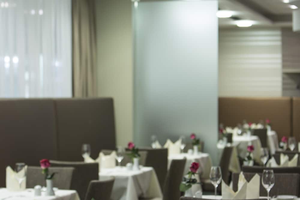 Linz Vacations - Hotel Schillerpark Linz, a member of Radisson Individuals - Property Image 45