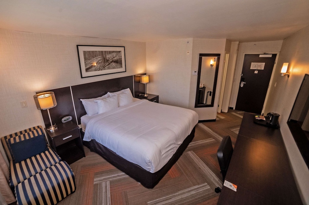 Quality Hotel - Property Image 33