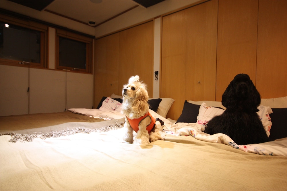 Photo 27