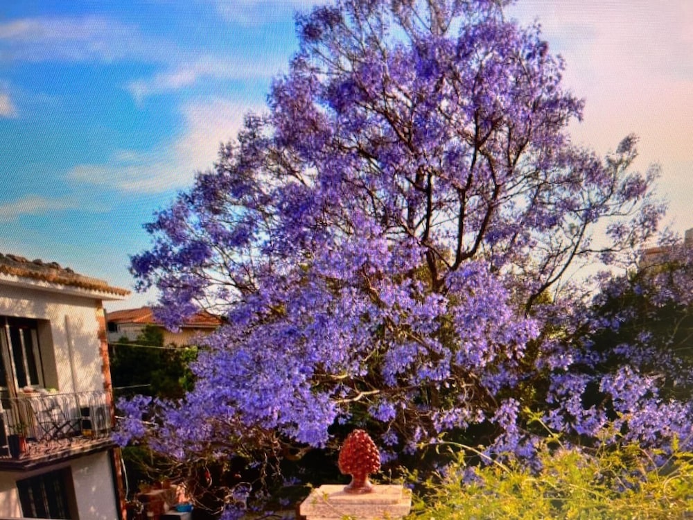 B&B Garden Grazia