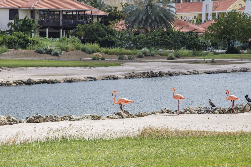 Blue Bay Bungalows