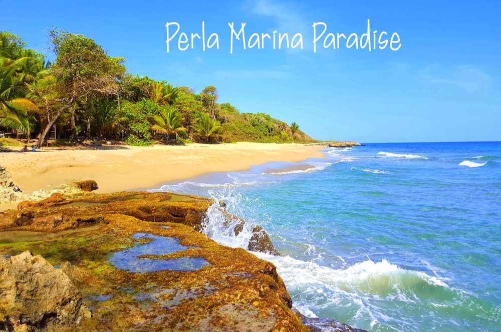 Condo Cabrinha - Direct on Kite Beach