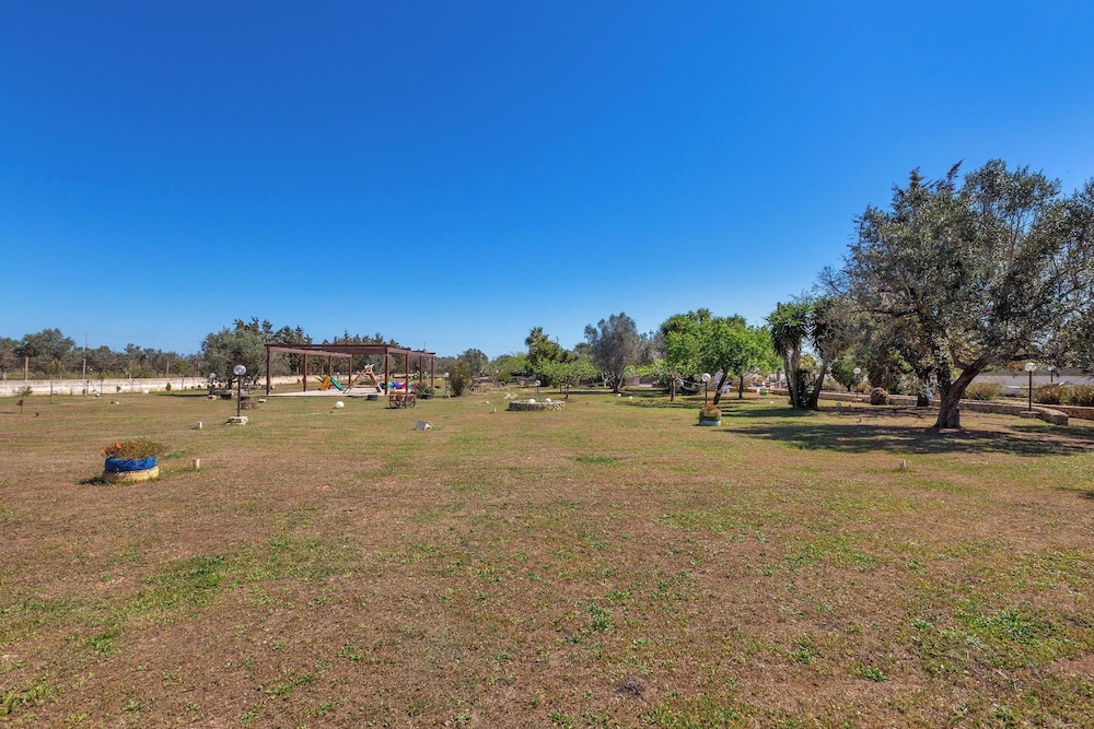Photo 31