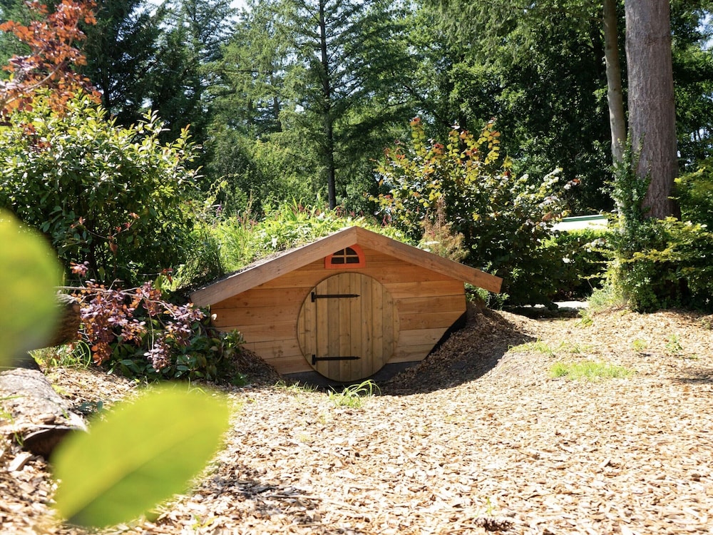 Forest Chalet Escape